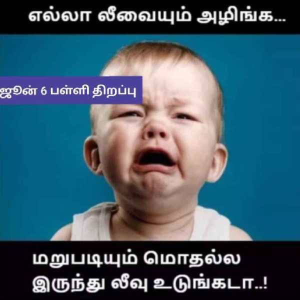 school reopen students parents teachers memes