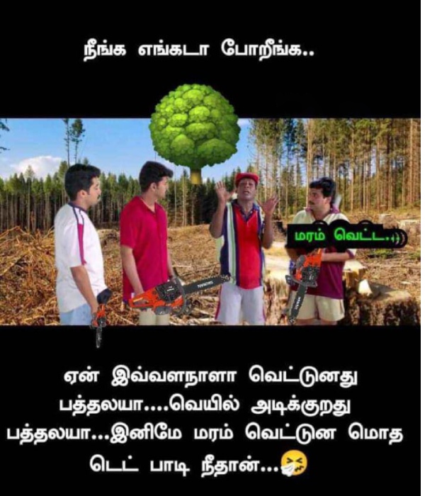 Funny memes collection on summer heat 06-05-24