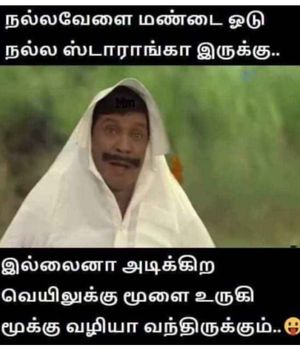 Funny memes collection on summer heat 06-05-24