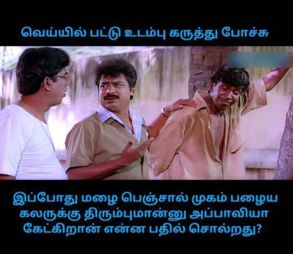 Funny memes collection on summar rain