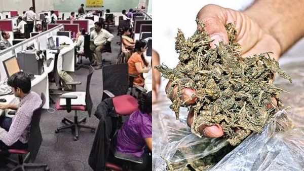 An IT employee in Chennai arrested for possessing 6 kg of ganja