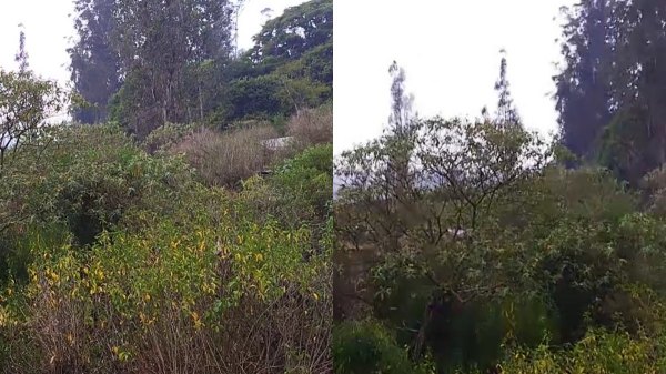 AC like Ooty due to Cold Wind Blowing and It rained non-stop for 1 hour in Ooty and its Nilgiris surroundings