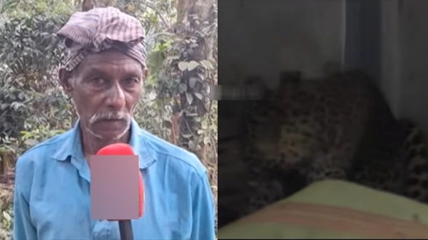 Leopard enters to house in Nilgiris and people locked door