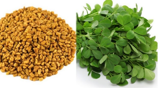 Amazing Medicinal Uses of Fenugreek and what are the Super food that women should eat during Menstruation Period
