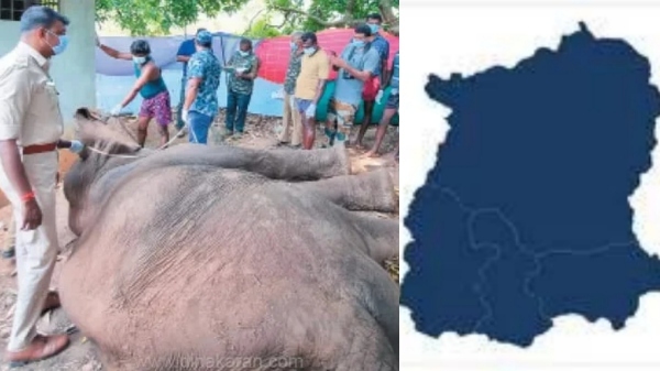 Tenkasi incident and Do you know Did Elephant go to Sengottai what happened Shenkottai