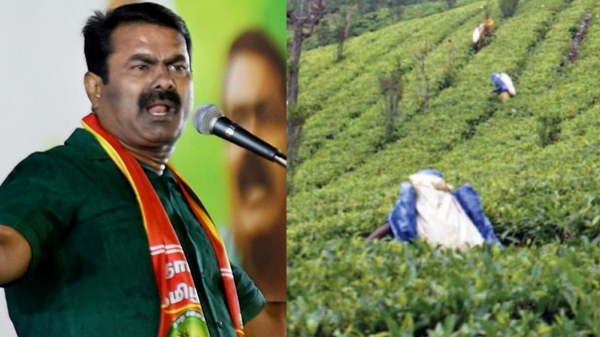 Naam Tamilar Party Seeman against to destroy Manjolai tea estate