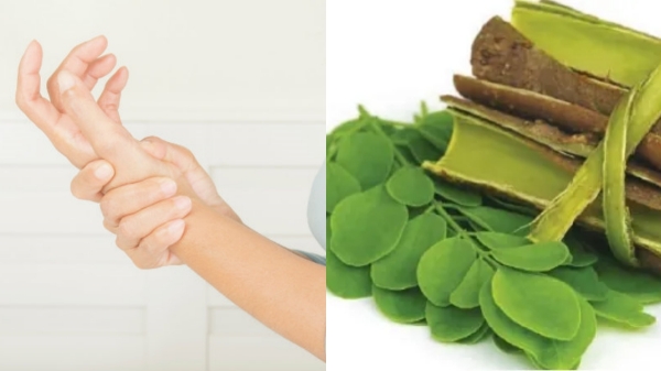 Do you know the Amazing Health Benefits of Drumstick Bark and what are Best foods that cure Rheumatoid Arthritis