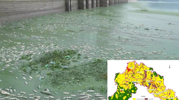 Krishnagiri KRP Dam and what happened to 7 tonnes of fish Is the water mixed with Chemical sewage