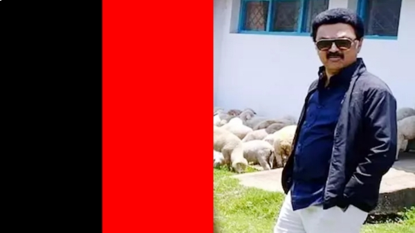 When will CM MK Stalin return to Chennai and Why did Sudden change in his Kodaikanal Summer Trip