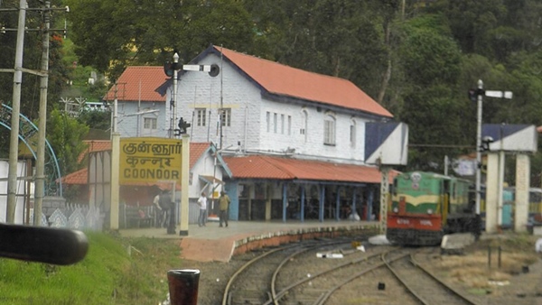 Wild Elephants break into canteen at Coonoor railway station