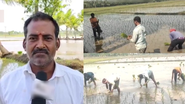 mayiladuthurai agriculture