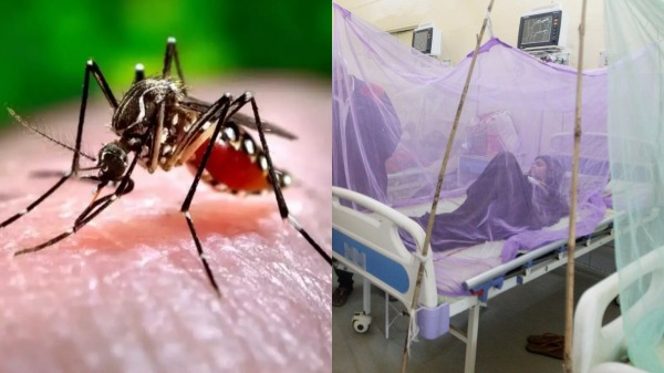 Health department warns that dengue has increased in 8 districts of Tamil Nadu