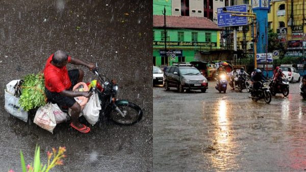temperature in Tamil Nadu has dropped drastically due to rain