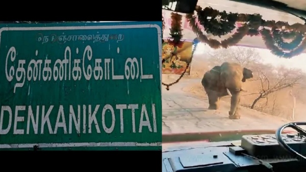 Krishnagiri Government Bus Drivers Fantastic Job and what happened near Denkanikottai riverside