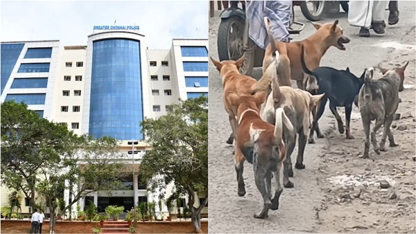 Stray dogs banned from entering Chennai Police Commissioner s office