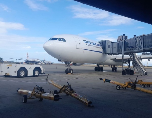 Indians who had gone to Jamaica in droves were sent back