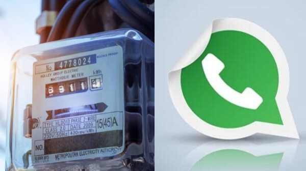 How to pay Tangedco EB bill through Whats App billing system Basic steps to know
