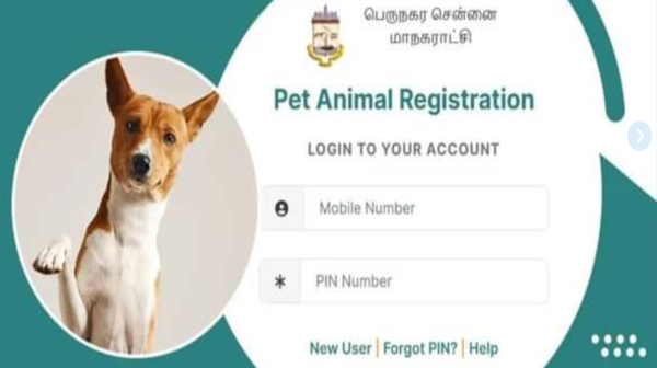 How to register your pet dog online in Chennai corporation