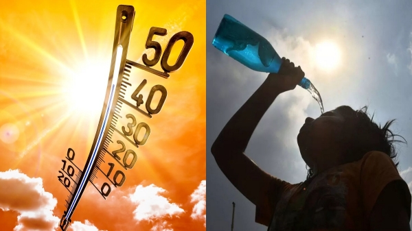 India accounts for more than 20 of heat wave deaths worldwide India accounts for more than 20 of heat wave deaths worldwide
