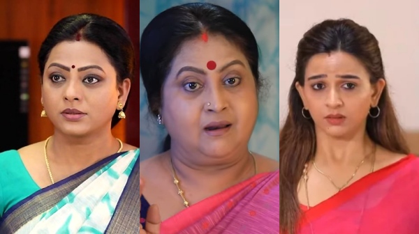 Television Baakiyalakshmi Serial Vijay TV Entertainment