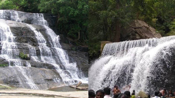 Forest department bans tourist to visit Megamalai falls for 3 days