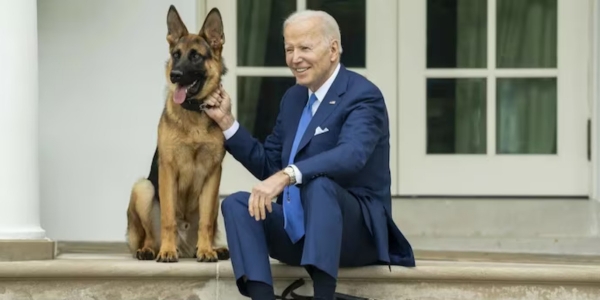 South Dakota Governor wants Biden need to take a decision on his dog Commander