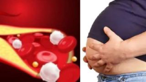 Are you going to lose weight and Do you know Amazing Health Benefits of Cucumber will reduce your Body weight soon Are you going to lose weight and Do you know Amazing Health Benefits of Cucumber will reduce your Body weight soon