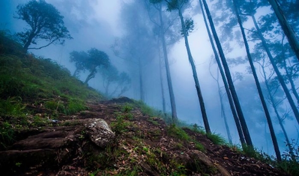 Tourists are happy as the climate is changing due to continuous rains in Ooty and Kodaikanal