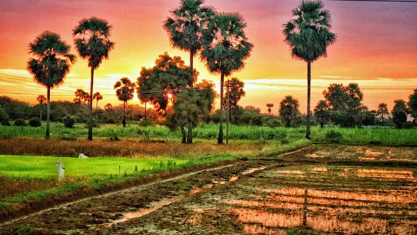 Tamil Nadu government s super decision for farmers Permission to take alluvial soil in Kanmai