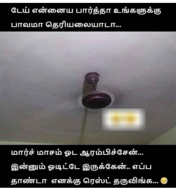 Funny memes collection on summer heat 04 05 2024