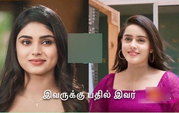 Sun TV Singappenne serial placement of regina character VJ Kalyani