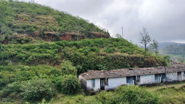 Nellai Manjolai