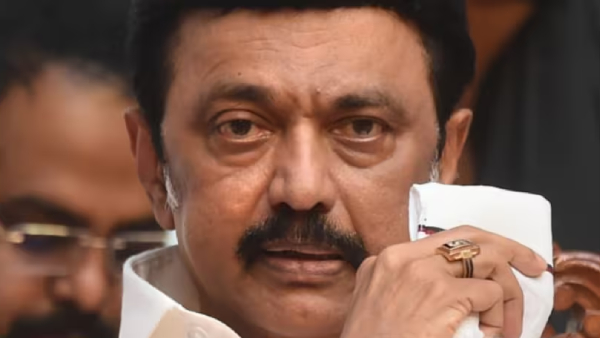 Major changes will be taken place in dmk and bjp after lok sabha election results