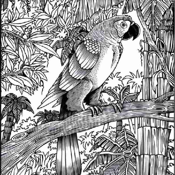 find the cat in this optical illusion picture within 8 seconds