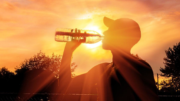 Siddha doctor Sivaraman lists summer foods