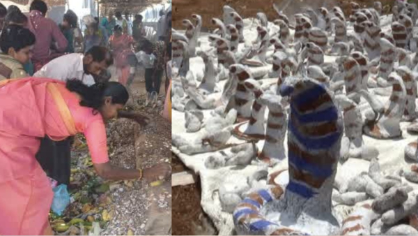 Erode large number of devotees participate in the Temple Festival and Clay idols of poisonous animals worshiping near Sathiyamangalam