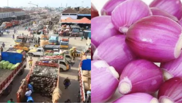 When will Small Onion prices fall and Are these the reasons for the rise in Onion prices in the Chennai Koyambedu