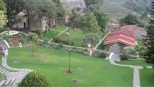 Wildebeest herd inside a luxury bungalow in Kodaikanal A super treat for the guest