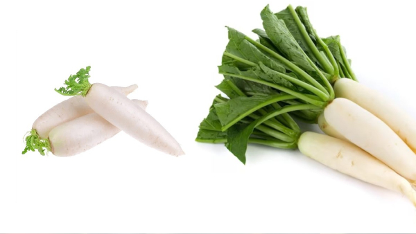Extra Ordinary Health Uses of Raddish Leaves and raddish leaf is the Super Medicine for Arthritis Piles