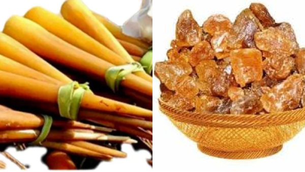 Amazing Medicinal Uses of Panangilangu palmyra sprout and What are the Major Plans by Tamil Nadu Aavin