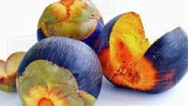 Amazing Medicinal Uses of Panangilangu palmyra sprout and What are the Major Plans by Tamil Nadu Aavin