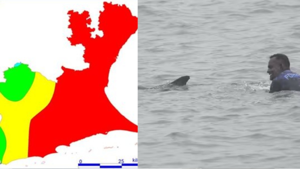 Do you know Who is this Ramanathapuram Chief Guest and Beached Whale on Ramnad Naripaiyur Beach