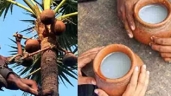 Beer and wine allowed to be sold in hotels at tourist sites in Kerala