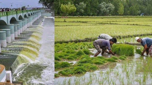 TN farmers happy as Water flow increase in cauvery river