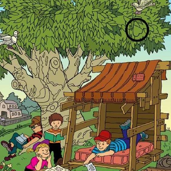 Can you find the heart symbol in the optical illusion picture