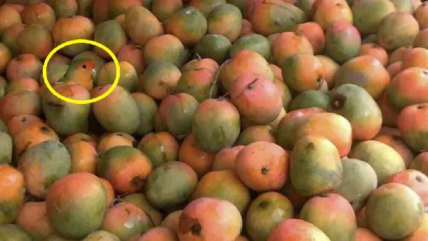 puzzle offbeat world optical illusion trend illusion photo picture optical illusion picture