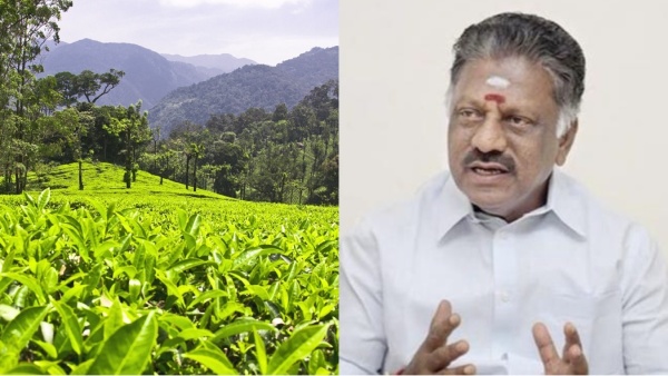 O Panneerselvam urge government to run Manjolai tea estate