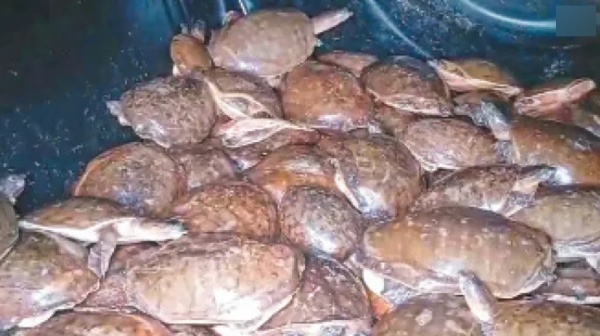 What Happened in Andhra Pradesh Check post and Did the Onion bags move in the Lorry