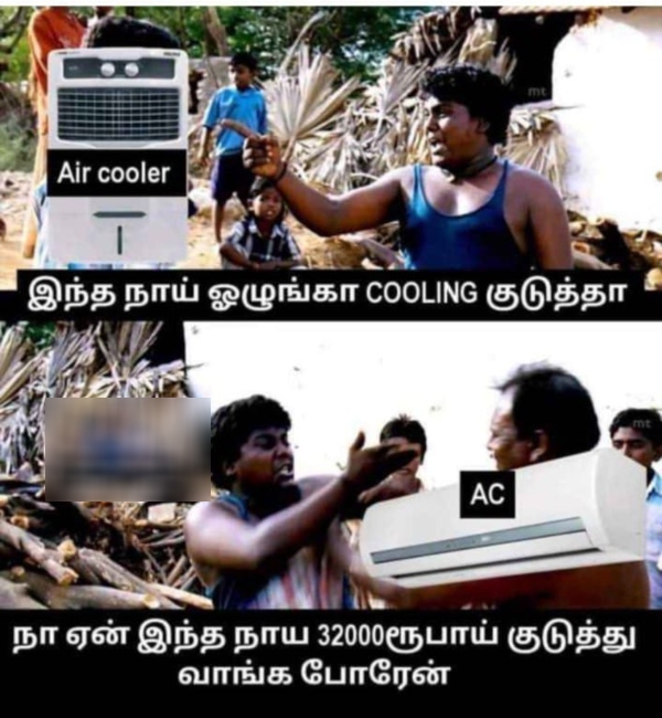 Funny memes collection on summer heat 04 05 2024