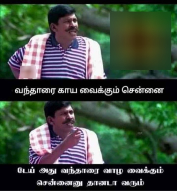 Funny memes collection on summer heat 04 05 2024